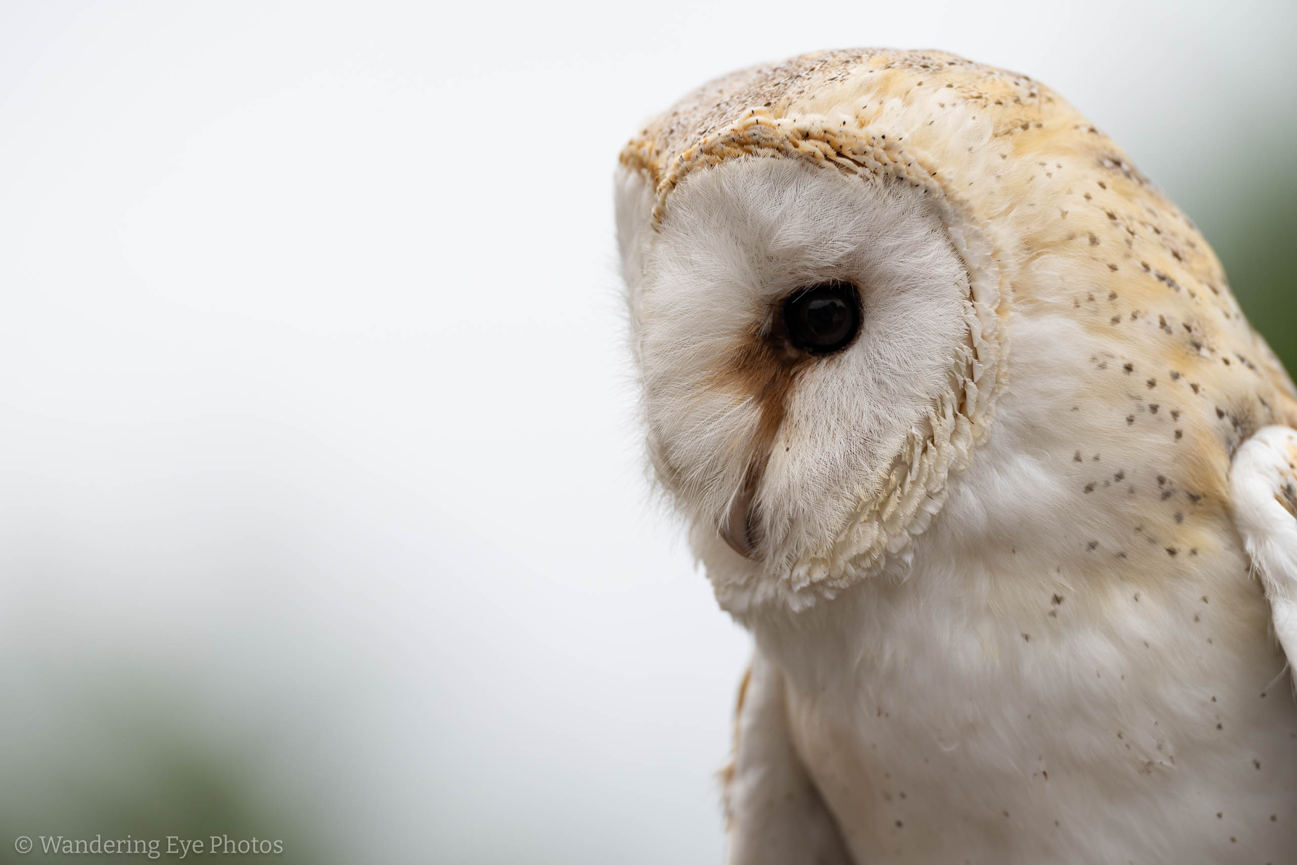 08.08 12.51.10 DSC00408